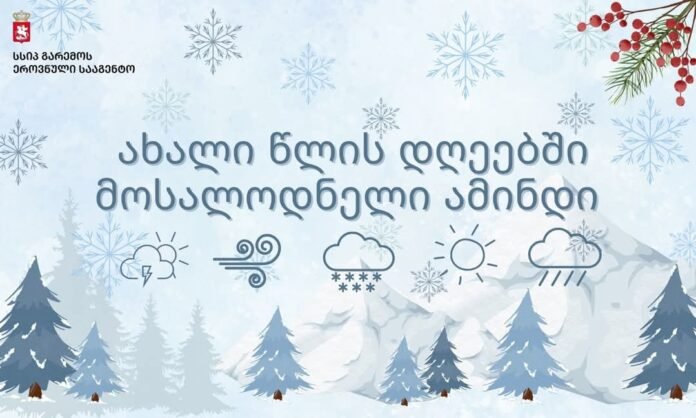 FB_IMG_1735623176820