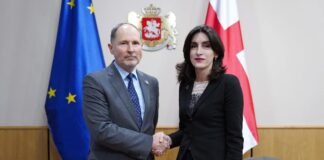 საგარეო საქმეთა მინისტრი მაკა ბოჭორიშვილი საქართველოში ევროკავშირის ელჩს პაველ ჰერჩინსკის შეხვდა
