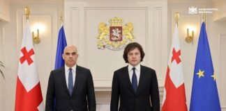 ირაკლი კობახიძე ევროპის საბჭოს გენერალურ მდივანს, ალენ ბერსეს შეხვდა