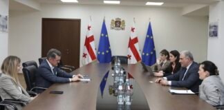 ჯანდაცვის მინისტრი ამერიკის აკრედიტაციის საერთაშორისო კომისიის (AACI) უფროს ვიცე-პრეზიდენტს შეხვდა