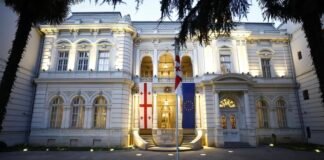 პრეზიდენტი ოპოზიციის წარმომადგენლებს, სამოქალაქო აქტივისტებსა და არასამთავრობო სექტორს ხვდება