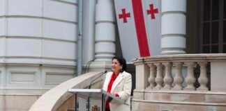 სალომე ზურაბიშვილი სამომავლო გეგმებზე – “31-ში რუსთაველზე ერთად შევხვდებით ახალ წელს”