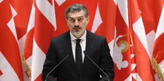 ინაუგურაციიდან რამდენიმე საათში მიხეილ ყაველაშვილის ხელმოწერით „საკანონმდებლო მაცნეზე“ 28 კანონპროექტი გამოქვეყნდა