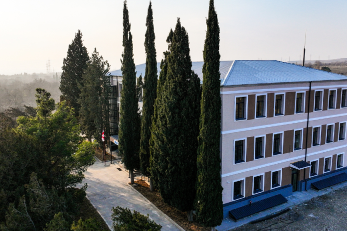 add-a-subheading-2024-12-11t150343-781