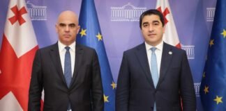 შალვა პაპუაშვილი ევროპის საბჭოს გენერალურ მდივანს შეხვდა