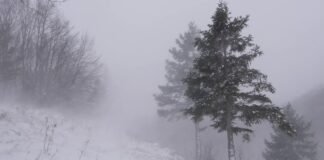 ძლიერი თოვა და ქარბუქი, ძლიერი ქარი, ზღვაზე 4-5 ბალიანი შტორმი – საქართველოში ამინდი მკვეთრად გაუარესდება