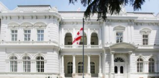 ხვალ,14 დეკემბერს საპრეზიდენტო არჩევნებია