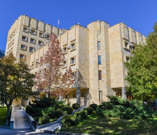 პროკურატურამ დუშეთის მუნიციპალიტეტში მომხდარი განზრახ მკვლელობის ფაქტზე დაკავებულს ბრალდება წარუდგინა