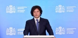 კობახიძე: ძალადობის მთავარი წყარო იყო პარტიული ოფისები