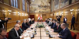 შალვა პაპუაშვილი უნგრეთის ეროვნული ასამბლეის თავმჯდომარეს შეხვდა