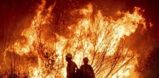 ლოს ანჯელესში ხანძრის შედეგად დაღუპულთა რაოდენობა 11-მდე გაიზარდა