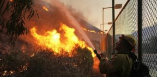 ლოს-ანჯელესის ტყის ხანძრების შედეგად დაღუპულთა რაოდენობა 16-მდე გაიზარდა