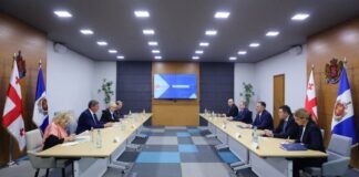 ვახტანგ გომელაური ევროპის საბჭოს საპარლამენტო ასამბლეის წარმომადგენლებს შეხვდა