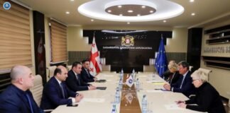 საქართველოს გენერალური პროკურორი გიორგი გაბიტაშვილი, ევროპის საბჭოს საპარლამენტო ასამბლეის მონიტორინგის კომიტეტის წევრებს შეხვდა