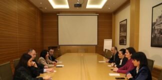 ჯანდაცვის მინისტრის მოადგილე თეა გიორგაძე სომეხ კოლეგას, ლენა ნანუშიანს შეხვდა