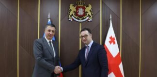 დავით სონღულაშვილი აზერბაიჯანის რესპუბლიკის საგანგებო და სრულუფლებიან ელჩს საქართველოში ფაიგ გულიევს შეხვდა