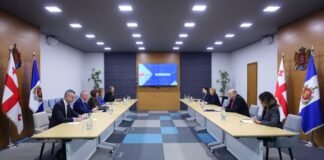 ალექსანდრე დარახველიძე ევროპის საბჭოს ადამიანის უფლებათა კომისარს – მაიკლ ოფლაერტს შეხვდა