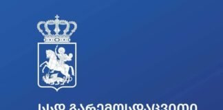 გარემოსდაცვითი ზედამხედველობის დეპარტამენტმა სოციალურ ქსელში გავრცელებული ვიდეოს საფუძველზე საქმის წარმოება დაიწყო