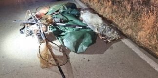 გარემოსდაცვითი ზედამხედველობის დეპარტამენტის თანამშრომლებმა, ბრაკონიერობასთან ბრძოლის ფარგლებში, ქვემო ქართლში უკანონო თევზჭერის 2 ფაქტი გამოავლინეს