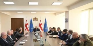 ჯანდაცვის მინისტრი დიალიზის სერვისის მიმწოდებელი დაწესებულებებისა და დიალიზის, ნეფროლოგიისა და თირკმლის ტრანსპლანტაციის კავშირის წარმომადგენლებს შეხვდა