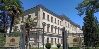 სახალხო დამცველმა ქუთაისის სააპელაციო სასამართლოს მზია ამაღლობელთან დაკავშირებით სასამართლოს მეგობრის მოსაზრებით მიმართა