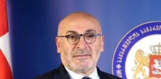 გოჩა ჯავახიშვილი – ბიძინა ივანიშვილი თავად იქცა ბაობაბად, რომელსაც ღრმად აქვს ფესვები გადგმული