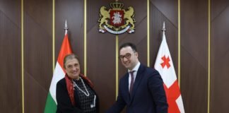 დავით სონღულაშვილი უნგრეთის საგანგებო და სრულუფლებიან ელჩს საქართველოში ანა მარია შიკოს შეხვდა