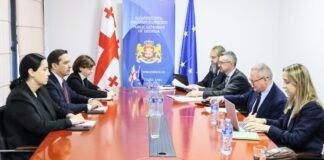 სახალხო დამცველი ევროპის საბჭოს ადამიანის უფლებათა კომისარს მაიკლ ო’ფლაერტის შეხვდა