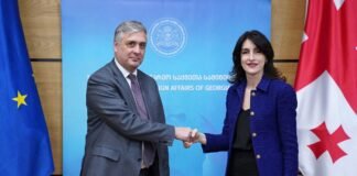 ᲛᲐᲙᲐ ᲑᲝᲭᲝᲠᲘᲨᲕᲘᲚᲘ ᲐᲕᲡᲢᲠᲘᲘᲡ ᲠᲔᲡᲞᲣᲑᲚᲘᲙᲘᲡ ᲔᲚᲩᲡ ᲨᲔᲮᲕᲓᲐ