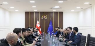 დავით სონღულაშვილი საქართველოს დაცული ლანდშაფტების ადმინისტრაციების წარმომადგენლებს შეხვდა