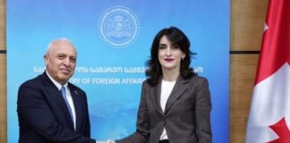 მაკა ბოჭორიშვილმა სომხეთის ელჩთან ორმხრივი თანამშრომლობის საკითხები განიხილა