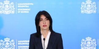 მაკა ბოჭორიშვილი დიპლომატიური პასპორტების მფლობელთათვის უვიზო რეჟიმის შეჩერებას ეხმიანება