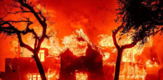 ლოს-ანჯელესში ხანძრის შედეგად ლეგენდარული მსახიობის, 87 წლის ენტონი ჰოპკინსის სახლი განადგურდა