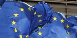 24 თებერვალს ევროკავშირის საგარეო საქმეთა მინისტრები საქართველოს საკითხს განიხილავენ