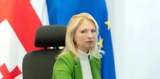 “ლარის კურსის მყისიერი გაუფასურების მოლოდინი არ არსებობს” – ნათია თურნავა