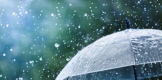 25-27 იანვარს საქართველოში მოსალოდნელი ამინდი