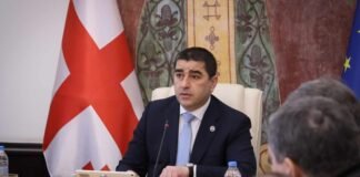 შალვა პაპუაშვილი: ევროპის საბჭოს საპარლამენტო ასამბლეის რეზოლუცია, რომელშიც გარკვეული დათქმები ჩაიწერა, ჩვენთვის აბსოლუტურად მიუღებელია