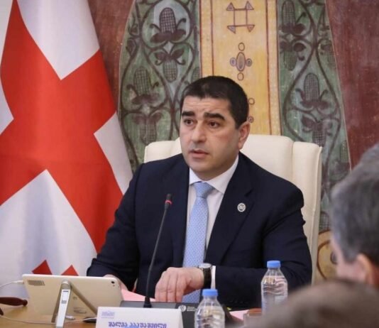 შალვა პაპუაშვილი: ევროპის საბჭოს საპარლამენტო ასამბლეის რეზოლუცია, რომელშიც გარკვეული დათქმები ჩაიწერა, ჩვენთვის აბსოლუტურად მიუღებელია