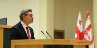 მიხეილ ყაველაშვილი პარლამენტში ყოველწლიური მოხსენებით წარდგა