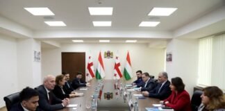 მიხეილ სარჯველაძე, საქართველოში უნგრეთის ელჩს ანა მარია შიკოს შეხვდა