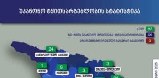 გასულ თვეს,ქვემო ქართლში ხე-ტყის უკანონო მოპოვების 8 ფაქტი დაფიქსირდა