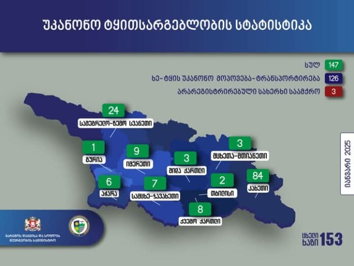 FB_IMG_1738837343571