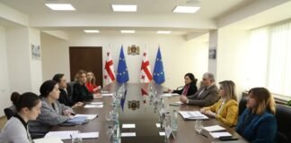 მიხეილ სარჯველაძე, საქართველოს სახალხო დამცველ ლევან იოსელიანს შეხვდა