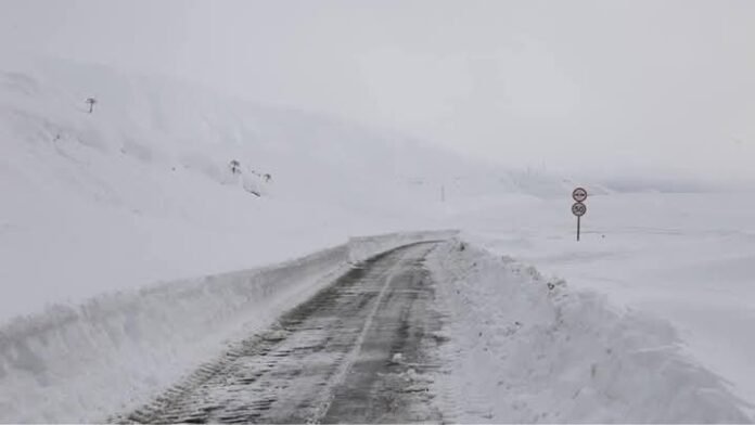 FB_IMG_1739948791571