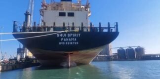 შავი ზღვის დაბინძურების ფაქტი გამოვლინდა