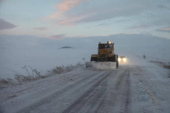 FB_IMG_1739961231793