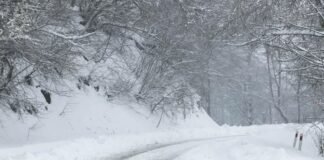 ინტენსიური თოვისა და რთული მეტეოროლოგიური პირობების გამო, საავტომობილო გზების სხვადასხვა მონაკვეთზე ავტოტრანსპორტის მოძრაობის სპეციალური რეჟიმებია დაწესებული