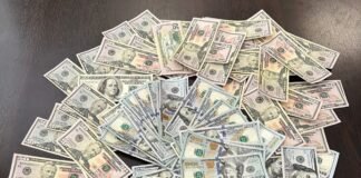 საგამოძიებო სამსახურმა ყალბი ფულის გასაღების ფაქტზე ერთი პირი დააკავა