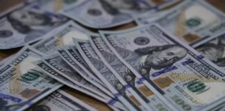 საგამოძიებო სამსახურმა ყალბი ფულის გასაღების ფაქტზე უცხო ქვეყნის მოქალაქე დააკავა