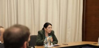 სალომე ზურაბიშვილი ეკონომისტებისა და ფინანსისტების ჯგუფს და აქციებზე დაკავებულთა ოჯახის წევრებს შეხვდა